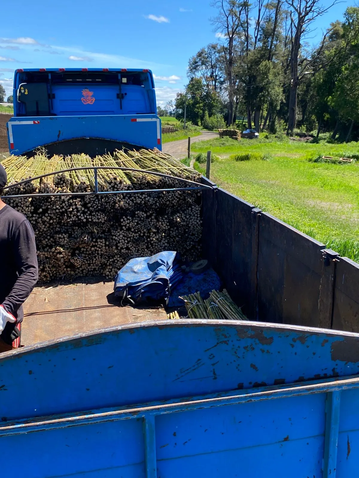Imagen 4 - Aplicaciones en minería