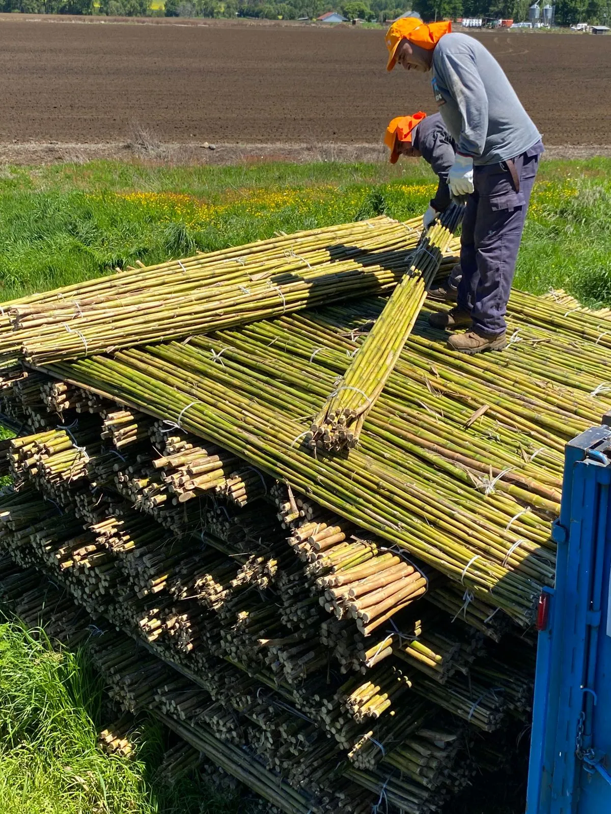 Imagen 5 - Aplicaciones en minería