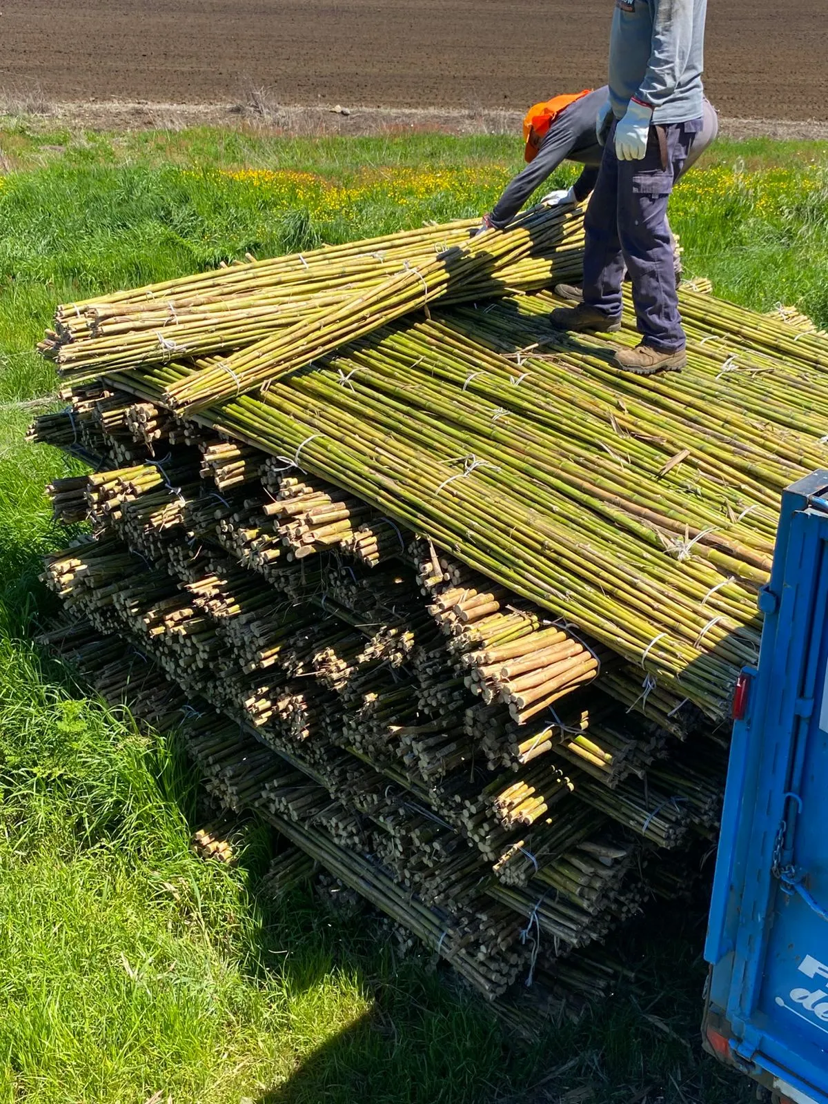 Imagen 6 - Aplicaciones en minería