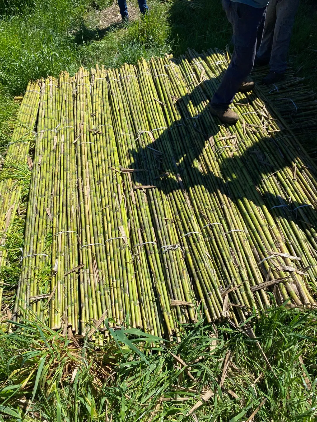 Imagen 10 - Aplicaciones en minería