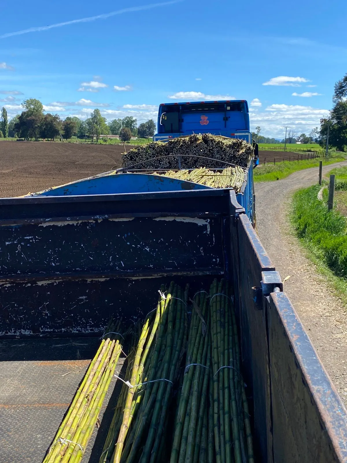 Imagen 11 - Aplicaciones en minería