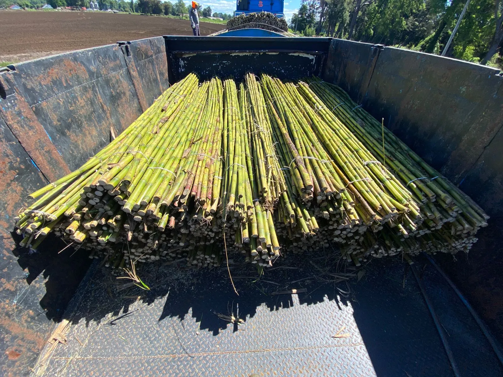 Imagen 13 - Aplicaciones en minería