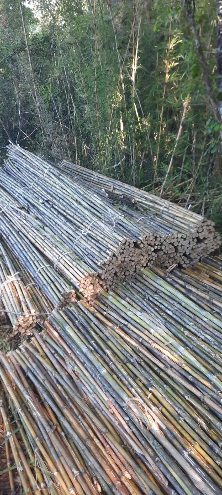 Imagen 15 - Tutores para plantaciones frutales