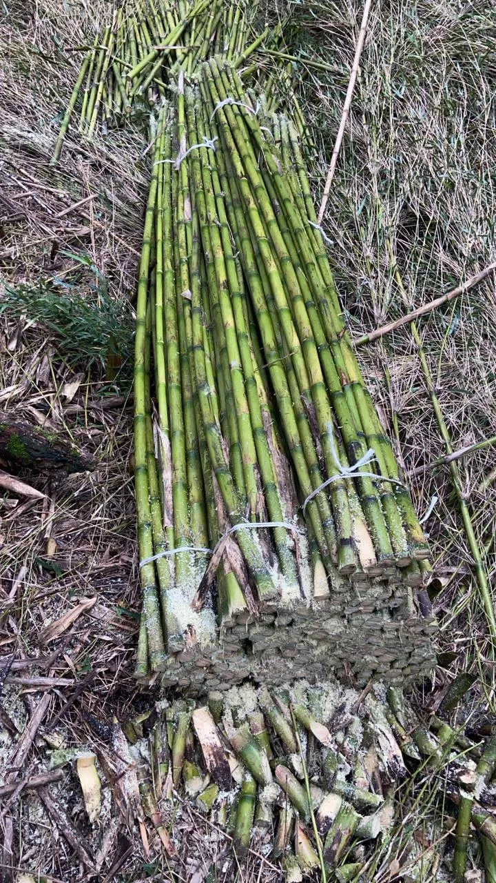 Imagen 17 - Aplicaciones en minería