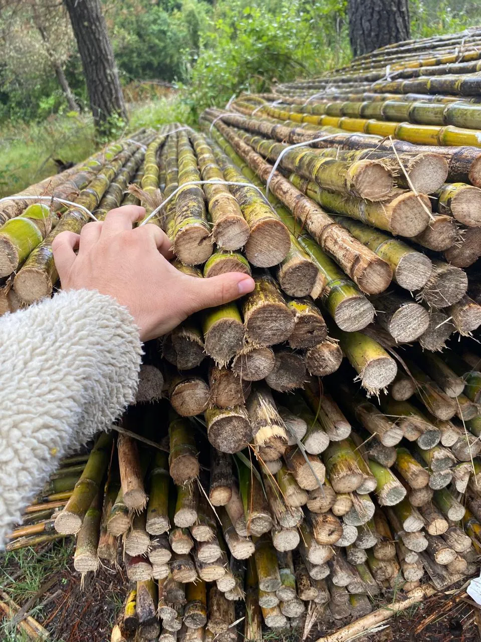 Proyectos de construcción