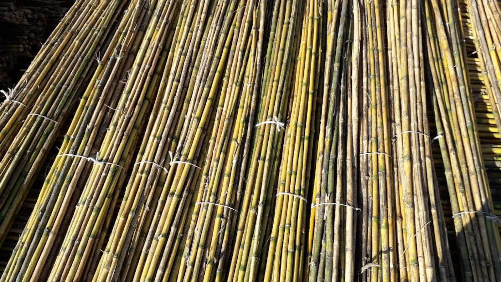 Cómo elegir la vara de coligues adecuada según el tipo de proyecto