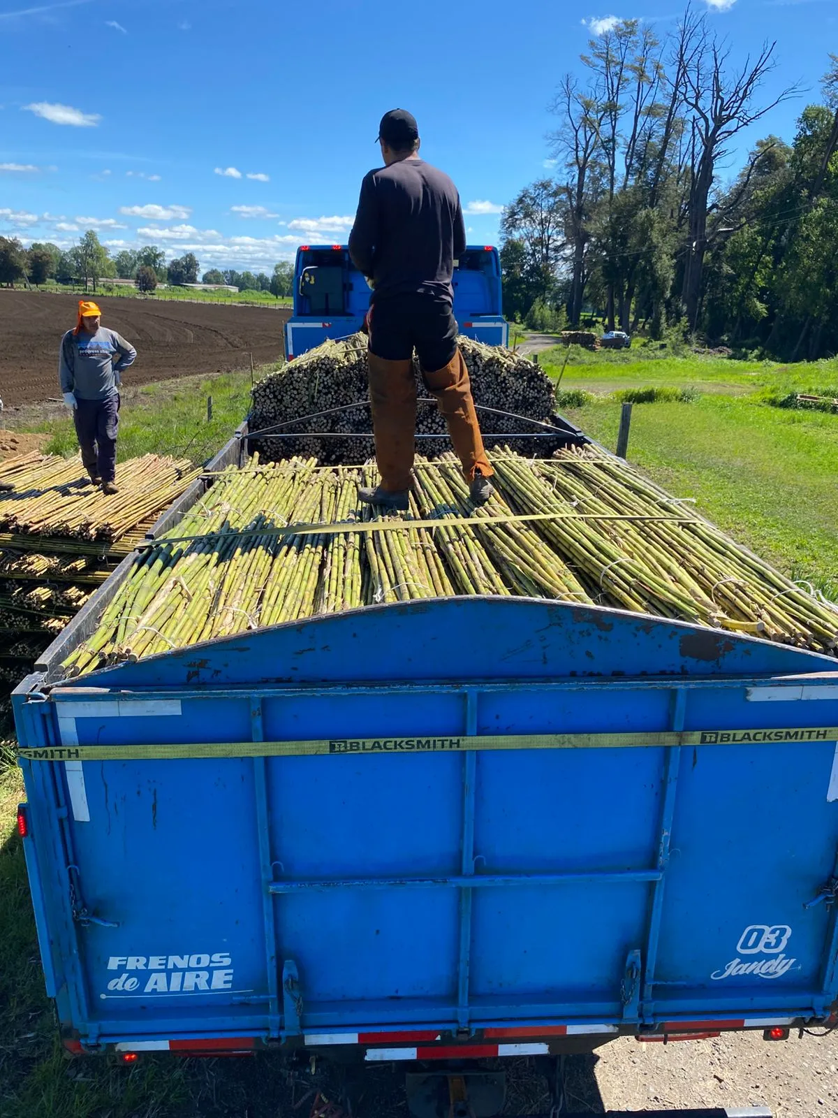 Imagen 15 - Aplicaciones en minería