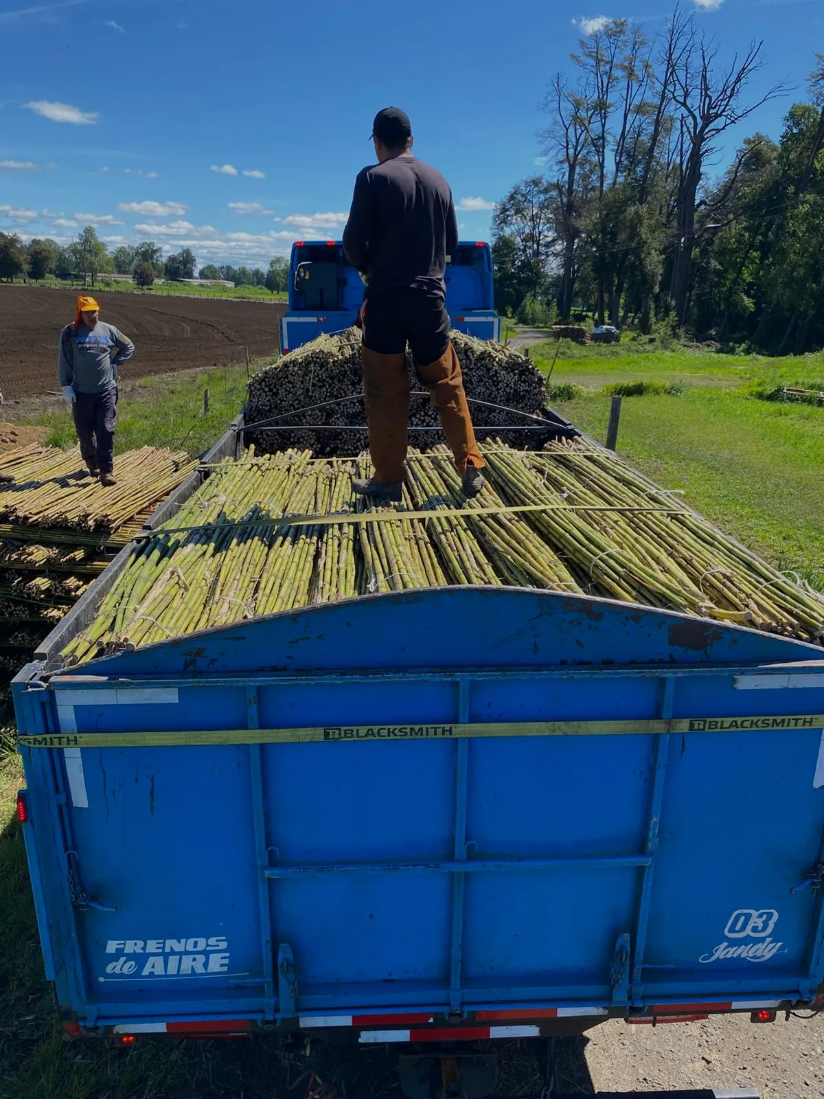 Despachos al por mayor a todo destino