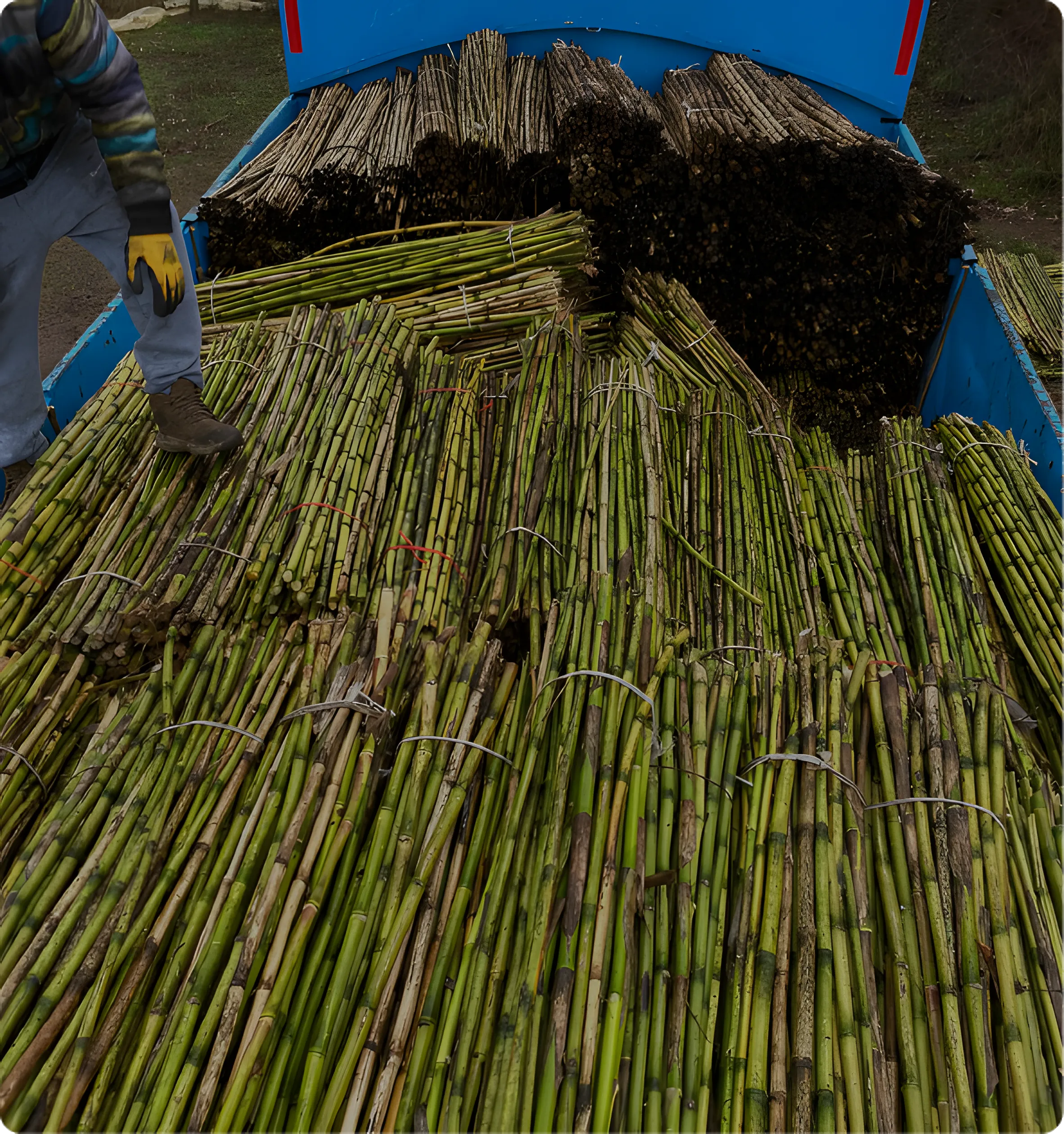 Aplicaciones en minería